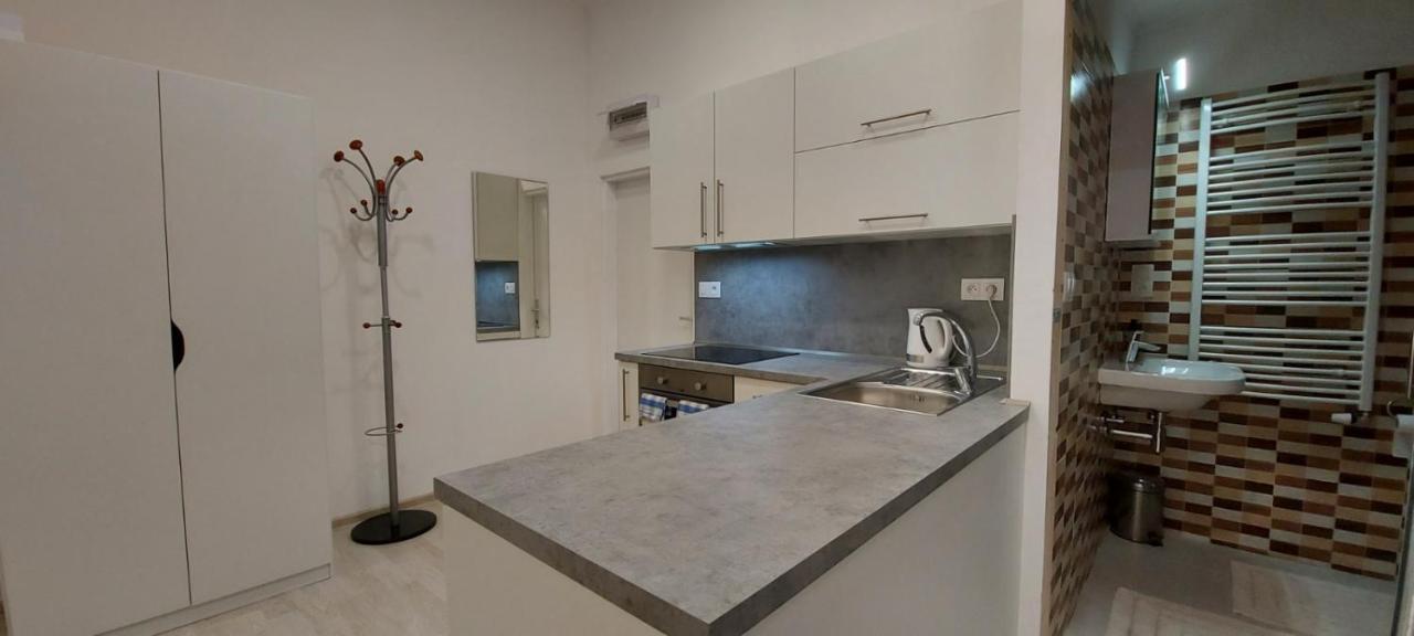 كارلوفي فاري Apartment Krale Jiriho المظهر الخارجي الصورة