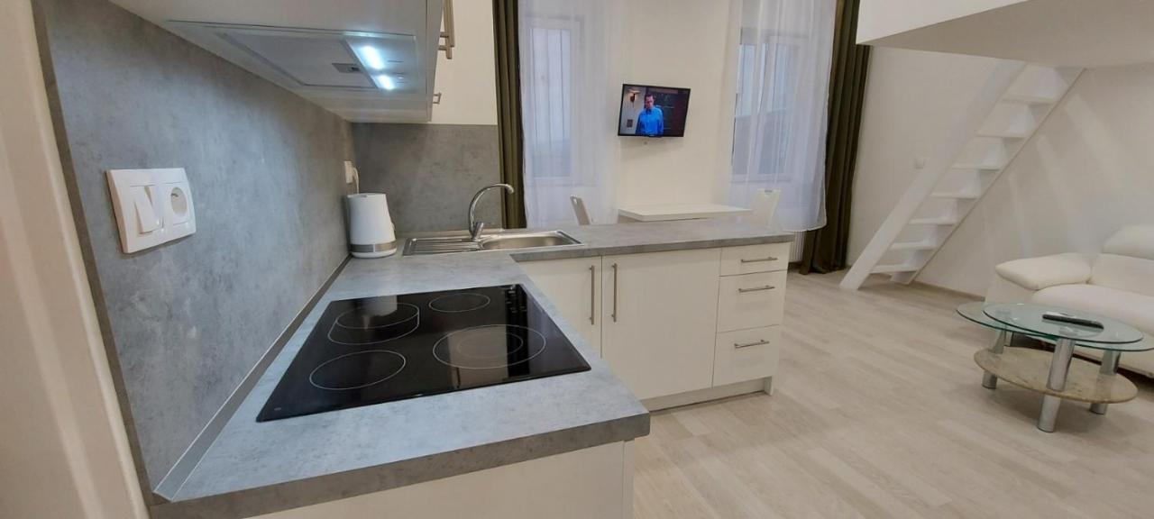 كارلوفي فاري Apartment Krale Jiriho المظهر الخارجي الصورة